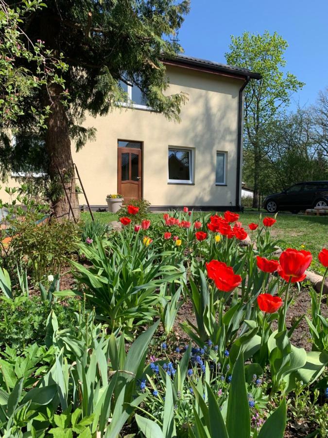 Excelent Apartment With Garden And Free Parking Riga Esterno foto
